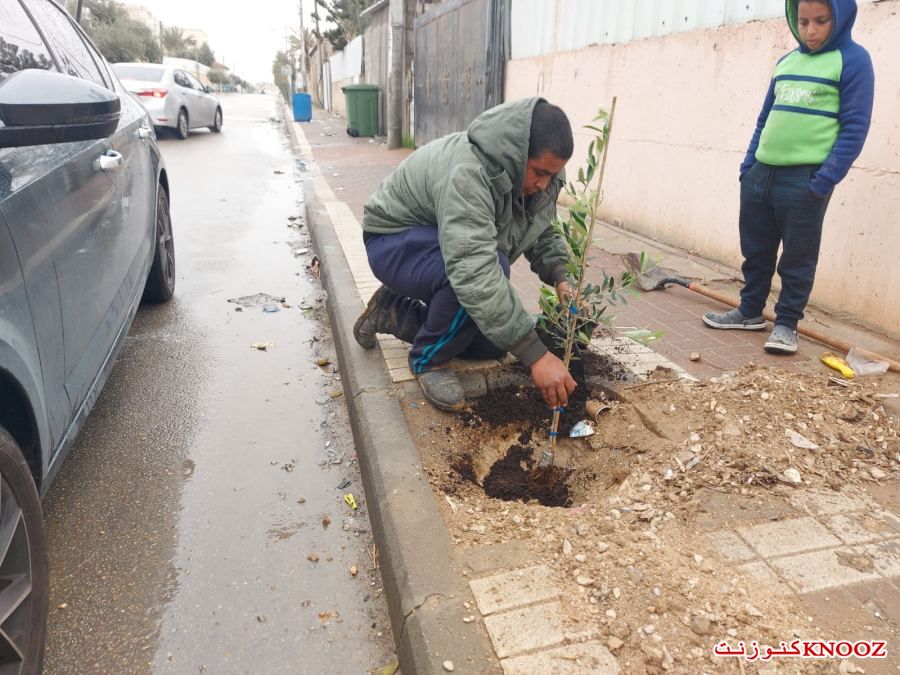 منتدى بلدي تل السبع : ينظم فعالية لزراعة الاشجار في البلدة 
